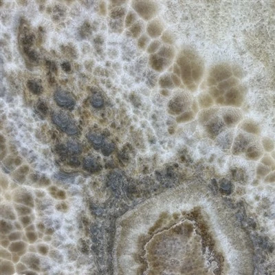 বাবল অনিক্স